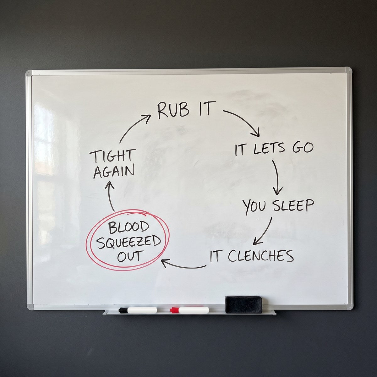 A whiteboard with a loop drawn on it: rub it, it lets go, you sleep, it clenches, blood squeezed out, tight again